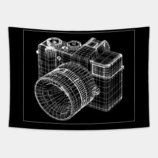 3d camera Tapestry