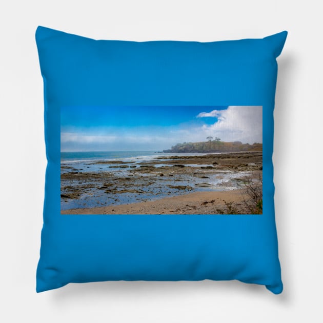 Tasmania, Beauty Untouched Pillow by anothercoffee