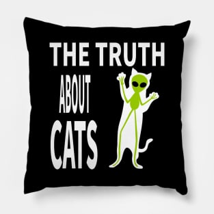 THE TRUTH ABOUT CATS Pillow