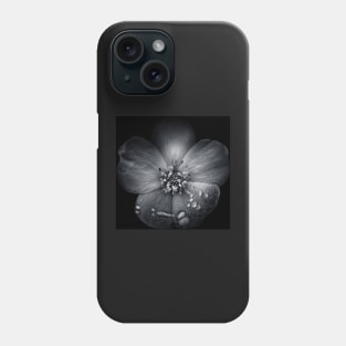 Backyard Flowers In Black And White 30 Phone Case