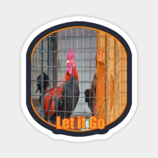 Caged animals Freedom Hens Magnet
