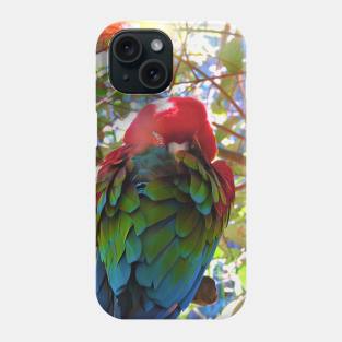 Scarlet Macaw V2 Phone Case
