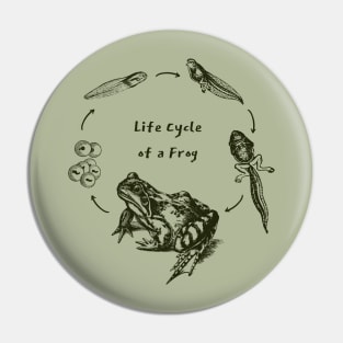 The Metamorphic Journey of Frogs: A Vintage Goblincore Display for Science Teachers Pin