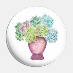 succulent in a pot watercolor Pin
