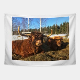 Scottish Highland Cattle Bulls 1935 Tapestry