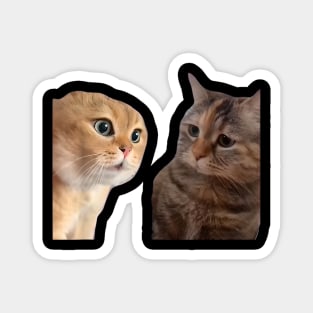 Two Cats Talking Meme, Cat Meme, Funny Cat Magnet