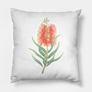 bottlebrush Australian flower Pillow