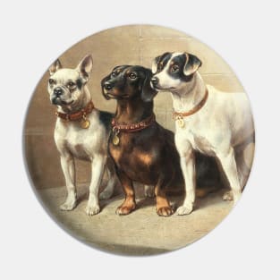 Three Watchful Dogs by Carl Reichert Pin