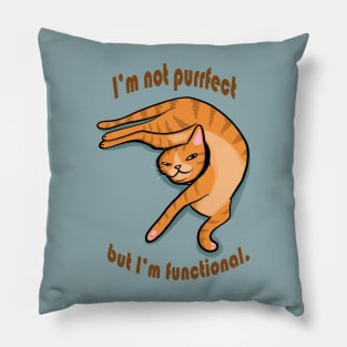 Not Purrfect, But Functional Pillow