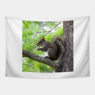 Squirrel Sitting Very Still Tapestry