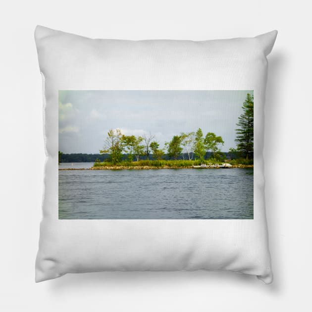 Bay Lake Study 7 Pillow by bobmeyers