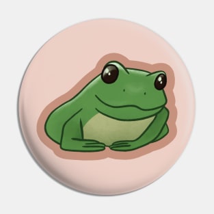 Sly Frog Pin