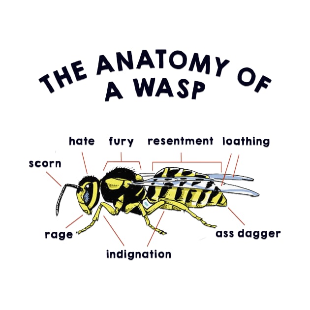 The Anatomy of a Wasp by toruandmidori