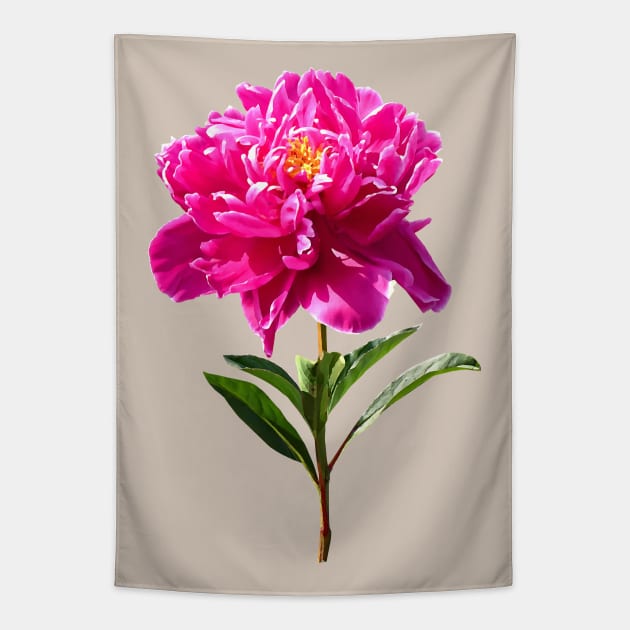 Peony tapestry hot sale