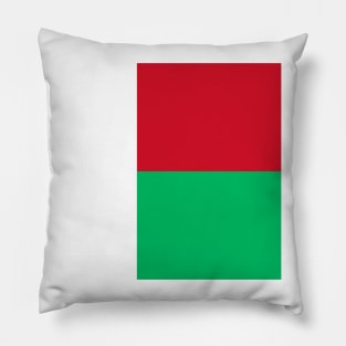 Madagascar flag Pillow