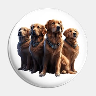 Golden Retriever Lilly Pin