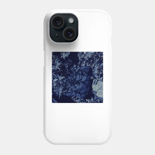 Leaves and The Stones Phone Case