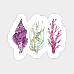 Seaweeds, coral, seashell Magnet