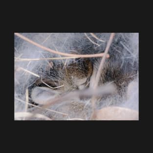 Baby Bunny Snuggled in its Nest T-Shirt