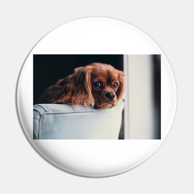 Cavalier King Charles Spaniel Dog Pin by kawaii_shop