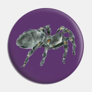 Mexican Redknee Tarantula Pin