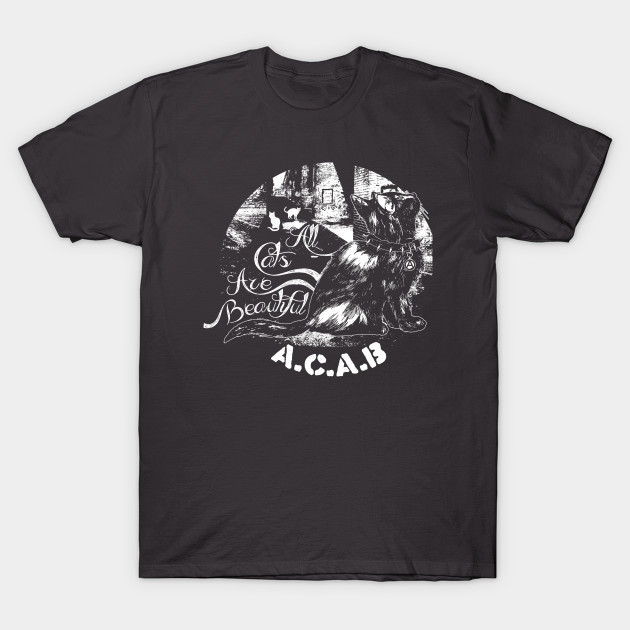 All Cats Are Beautiful Cute Kittens T Shirt Teepublic