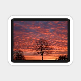 A glorious sunrise Magnet