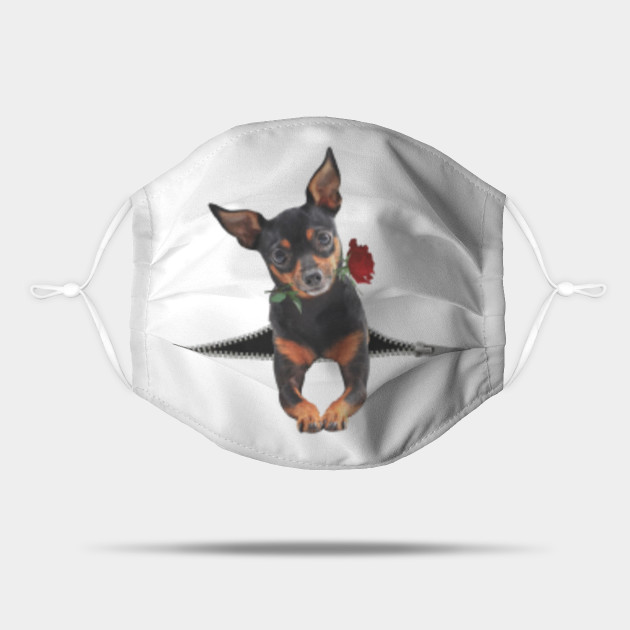 Funny Miniature Pinscher Zipper Rose Face Mask Miniature Pinscher Lover Masque Teepublic Fr