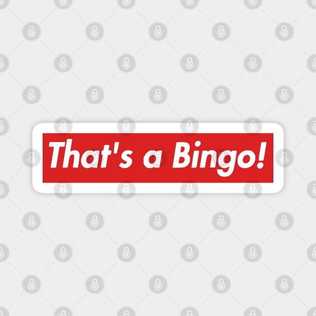 That's a Bingo! Magnet by Solenoid Apparel