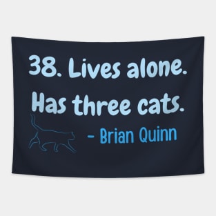 38. Lives alone. Has three cats. Funny Tapestry