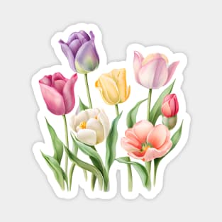 Tulips Magnet