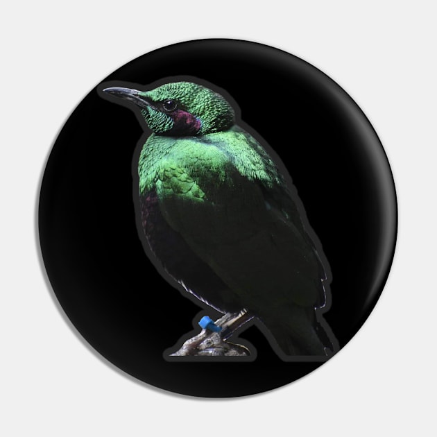 Emerald Starling Pin by Sharonzoolady