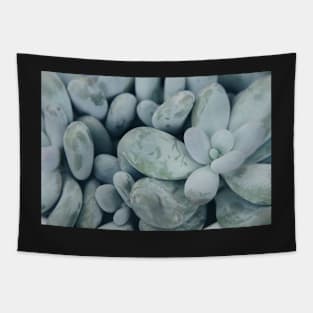 Moonstones Tapestry