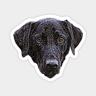 Black Labrador Retriever Face Magnet