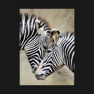 Two Zebras Face Each Other, Black and White Stripes T-Shirt