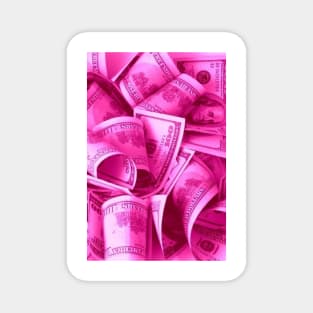 Pink Dollars Magnet