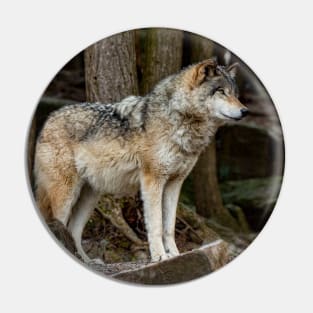 Eastern Gray Wolf Pin