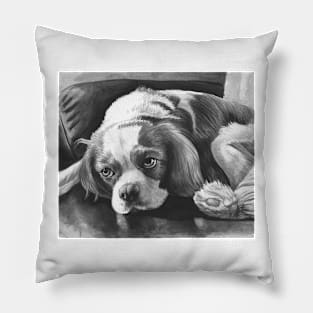 Cavalier King Charles Spaniel - Blenheim Black and White Portrait Pillow