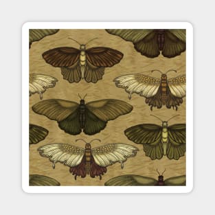 Earth Tone Butterfly Pattern Magnet