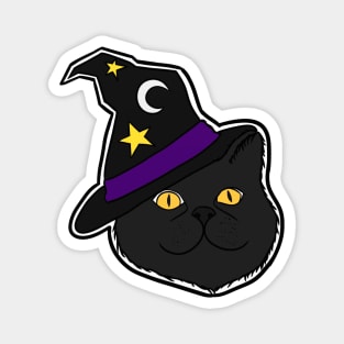 Witchy Kitty Magnet