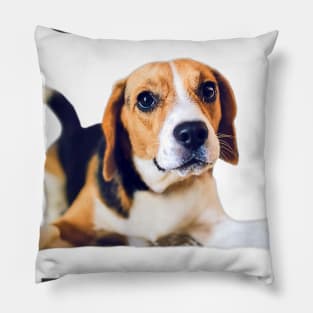 Love Is Beagle Pillow