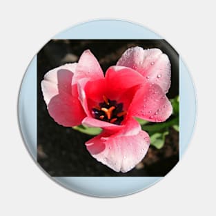 Tyntesfield Tulip Pin