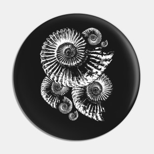 Fossil Ammonite Pin