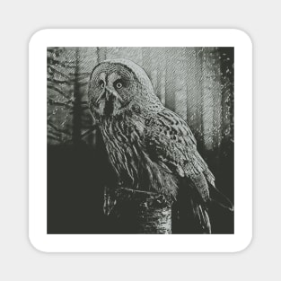 Mysterious Owl Magnet