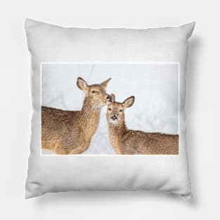 Momma’s Kisses Pillow