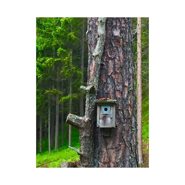 Birdhouse on Tree by ephotocard