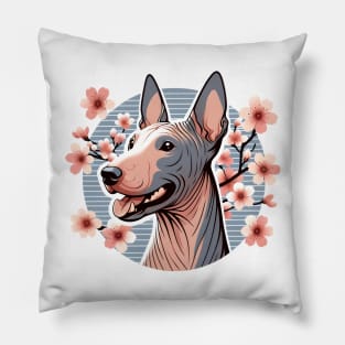 American Hairless Terrier Blooms with Spring Cherry Blossoms Pillow