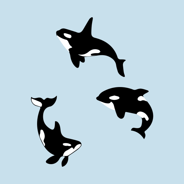 Three Orca Killer Whales Funny by blacckstoned