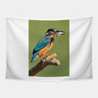 Kingfisher Tapestry