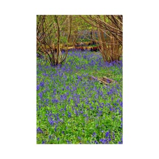 Bluebell Woods Basildon Park Reading UK T-Shirt